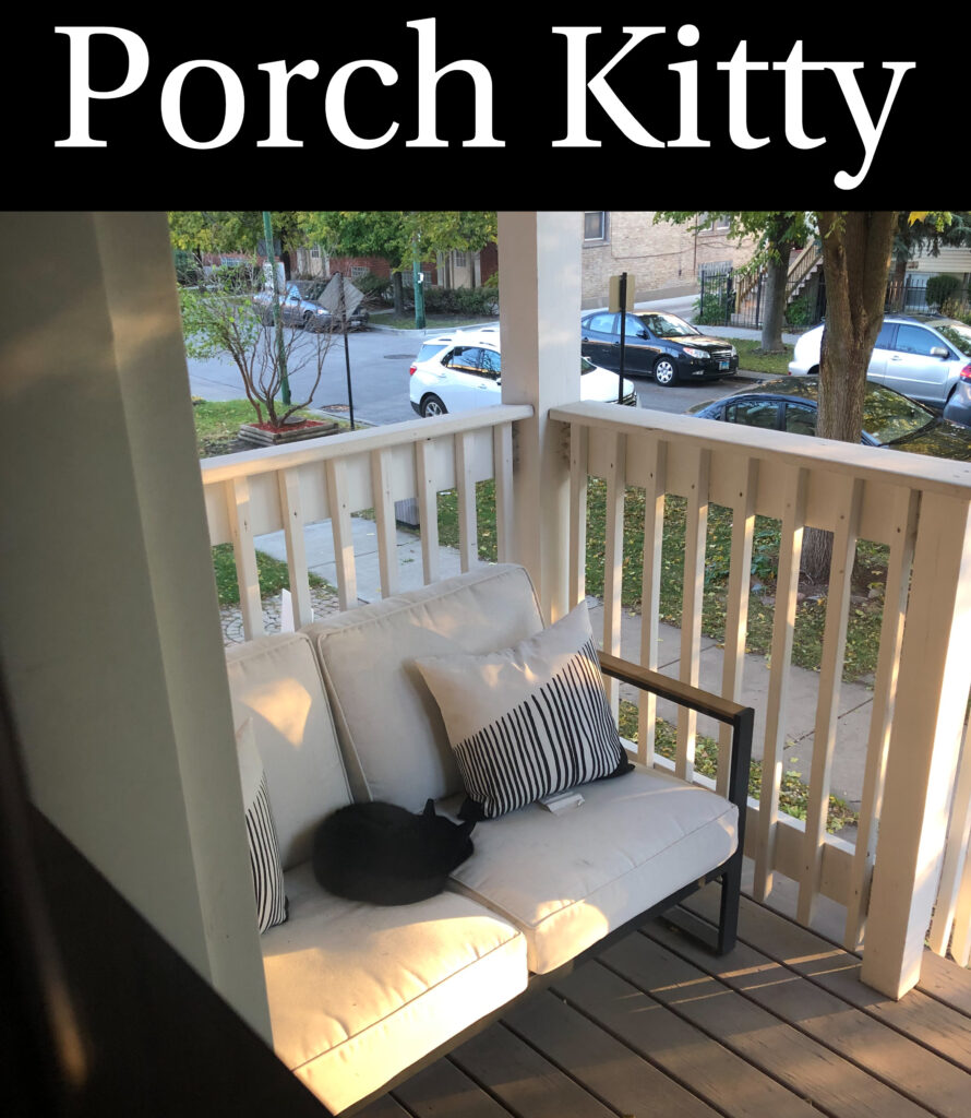 porch kitty
